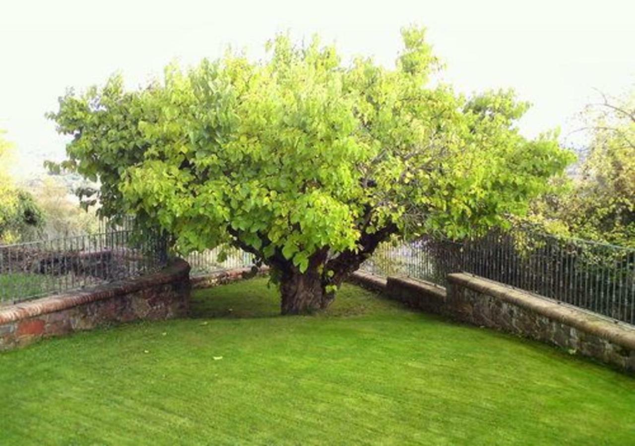 El Patio De La Morera El Rasillo Dış mekan fotoğraf